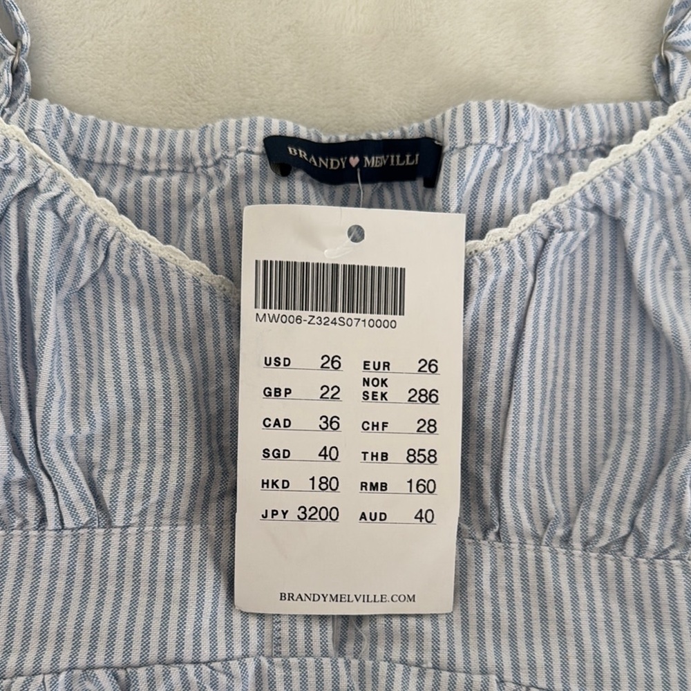 Brandy Melville Blue and White Tank - Picture 2 of 4